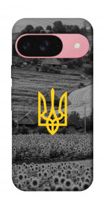Чехол Душа України для Google Pixel 9