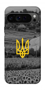 Чехол Душа України для Google Pixel 9 Pro