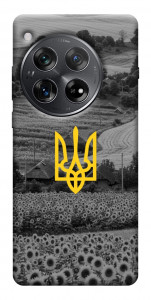 Чехол Душа України для OnePlus 12