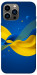 Чехол Жовто-синя гармонія для iPhone 12 Pro Max