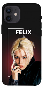 Чехол Stray kids Felix для iPhone 12