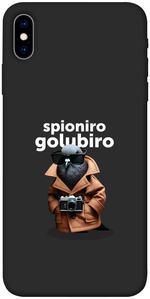 Чехол Spioniro Golubiro Segreto для iPhone XS