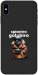 Чехол Spioniro Golubiro Segreto для iPhone XS