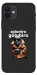 Чехол Spioniro Golubiro Segreto для iPhone 12