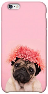 Чохол Мопс із квітами для iPhone 6s (4.7'')