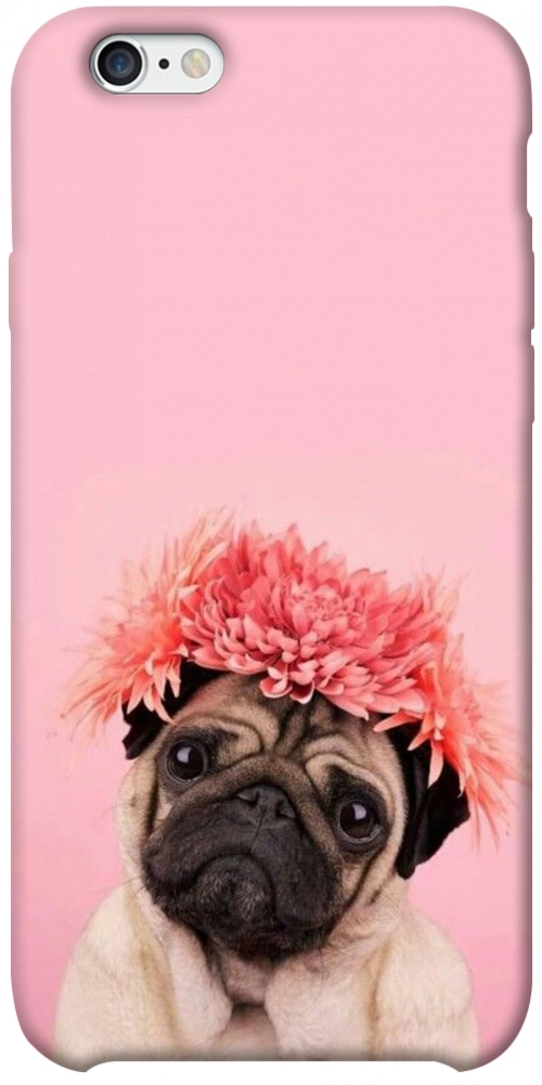 Чехол Мопс с цветами для iPhone 6S Plus