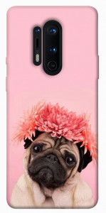 Чохол Мопс із квітами для OnePlus 8 Pro