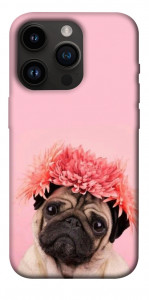 Чехол Мопс с цветами для iPhone 14 Pro