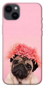 Чехол Мопс с цветами для iPhone 14 Plus