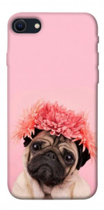 Чохол Мопс із квітами для iPhone SE (2022)