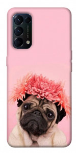 Чехол Мопс с цветами для Oppo Reno 5 4G