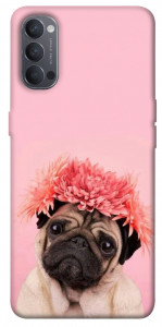 Чехол Мопс с цветами для Oppo Reno 4