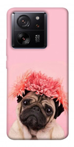 Чехол Мопс с цветами для Xiaomi 13T
