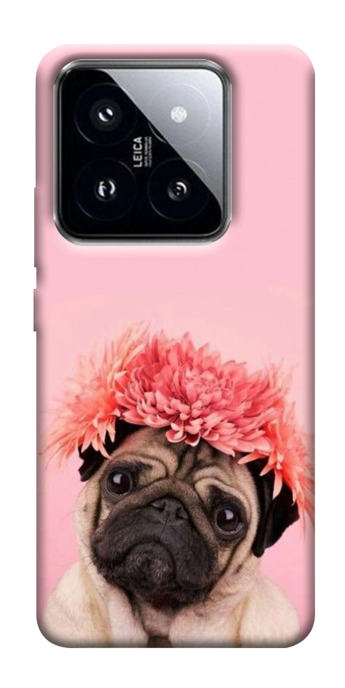 Чехол Мопс с цветами для Xiaomi 14 Pro
