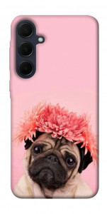 Чехол Мопс с цветами для Galaxy A35
