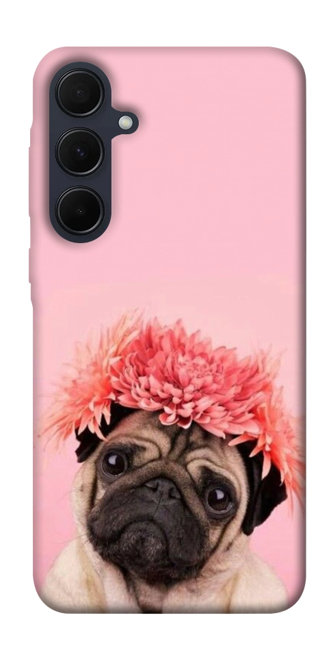 Чехол Мопс с цветами для Galaxy A55