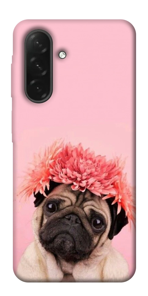 Чехол Мопс с цветами для Galaxy A26 5G