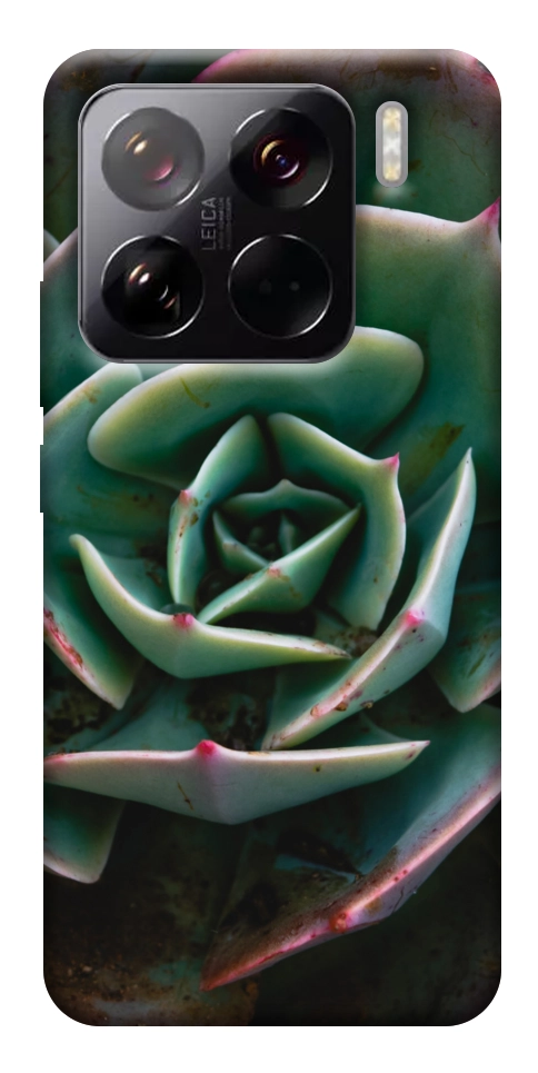 Чехол Эхеверия для Xiaomi 15 Pro
