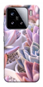 Чохол Ехеверія 2 для Xiaomi 15