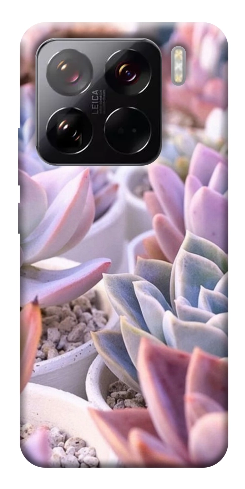 Чехол Эхеверия 2 для Xiaomi 15 Pro