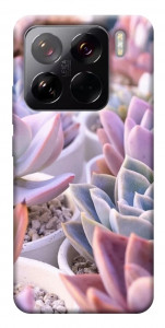 Чехол Эхеверия 2 для Xiaomi 15 Pro
