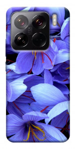 Чехол Фиолетовый сад для Xiaomi 15 Pro