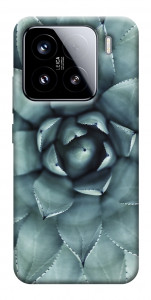 Чохол Сукуленти для Xiaomi 15