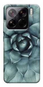 Чехол Суккуленты для Xiaomi 15 Pro