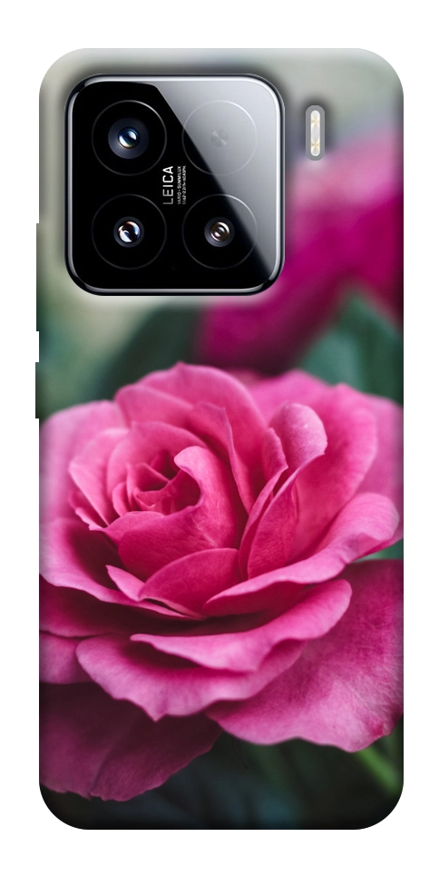 Чохол Троянда у саду для Xiaomi 15
