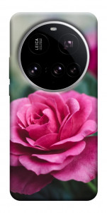 Чехол Роза в саду для Xiaomi 15 Ultra