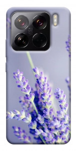 Чехол Лаванда для Xiaomi 15 Pro