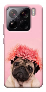 Чехол Мопс с цветами для Xiaomi 15 Pro