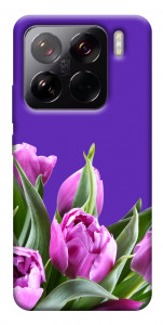 Чехол Тюльпаны для Xiaomi 15 Pro