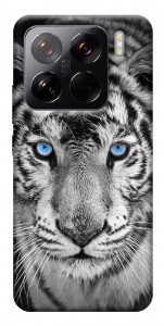 Чехол Бенгальский тигр для Xiaomi 15 Pro