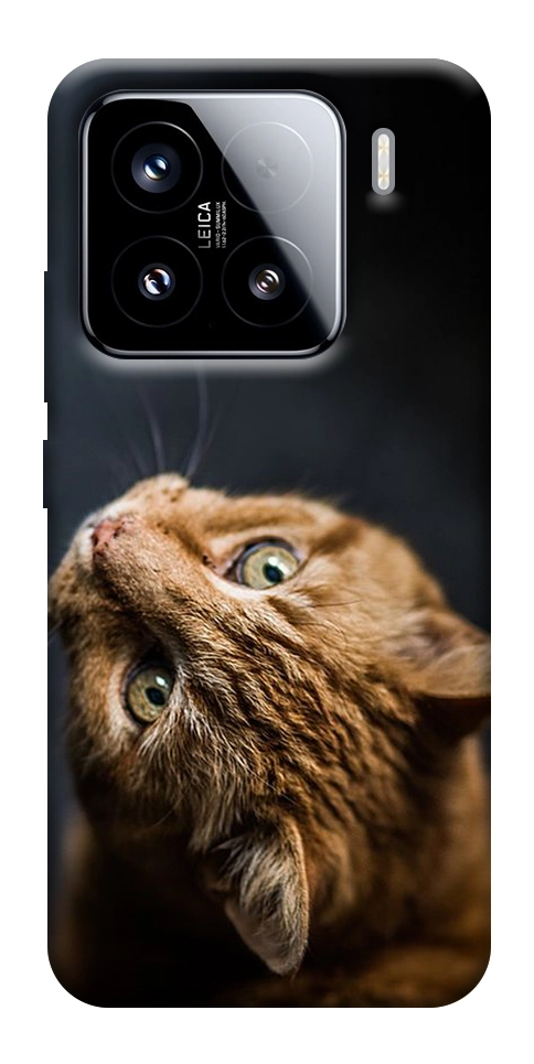 Чохол Рудий кіт для Xiaomi 15