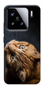 Чохол Рудий кіт для Xiaomi 15