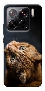 Чехол Рыжий кот для Xiaomi 15 Pro