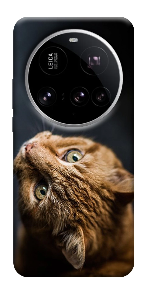 Чехол Рыжий кот для Xiaomi 15 Ultra