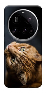 Чехол Рыжий кот для Xiaomi 15 Ultra