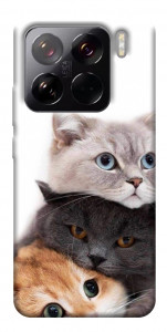 Чехол Три кота для Xiaomi 15 Pro