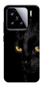 Чохол Чорний кіт для Xiaomi 15