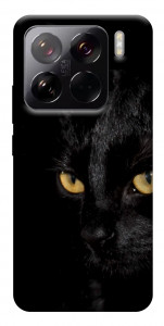 Чехол Черный кот для Xiaomi 15 Pro