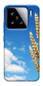 Чохол Пшениця для Xiaomi 15