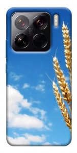 Чехол Пшеница для Xiaomi 15 Pro