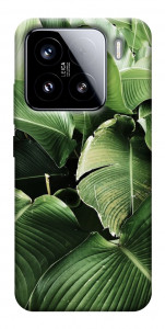 Чохол Тропічние листя для Xiaomi 15