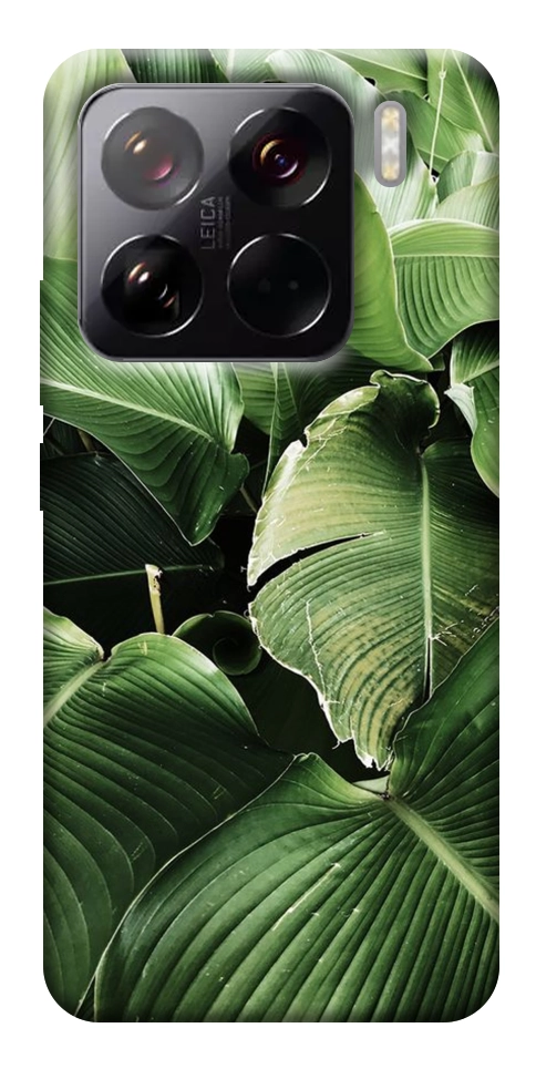 Чехол Тропическая листва для Xiaomi 15 Pro