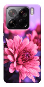 Чехол Нежная хризантема для Xiaomi 15 Pro