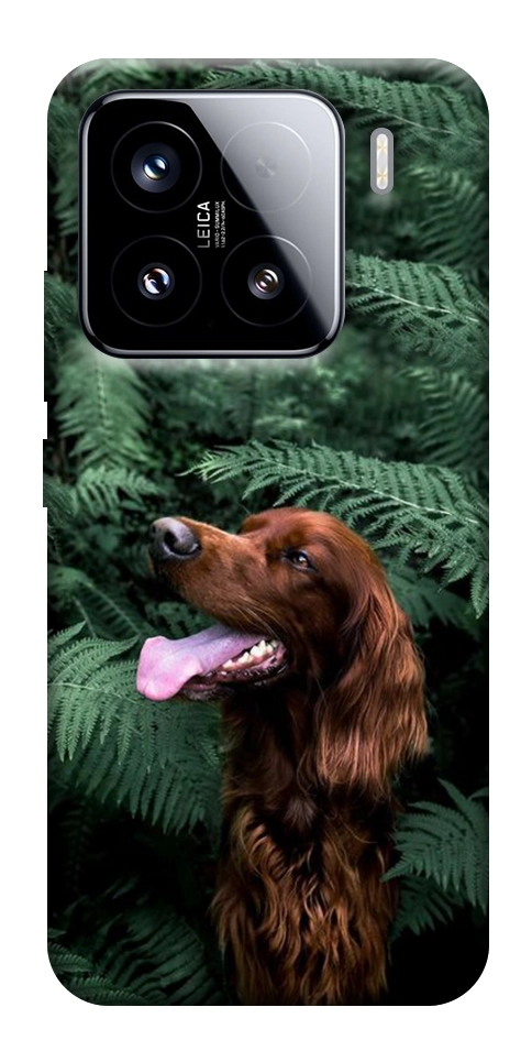 Чехол Собака в зелени для Xiaomi 15