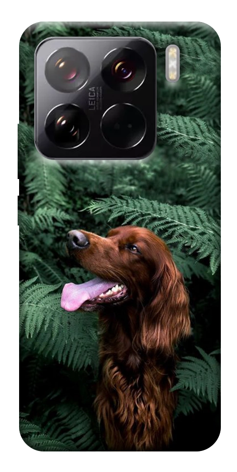 Чехол Собака в зелени для Xiaomi 15 Pro