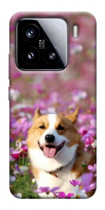Чехол Корги в цветах для Xiaomi 15